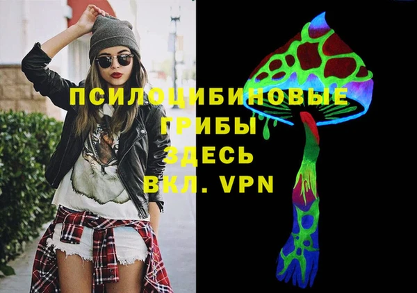 спиды Алексин